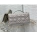 Bag-Dior-093 Size :  21 x 11 x 5cm