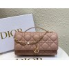 Bag-Dior-097 Size :  21 x 11 x 5cm