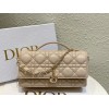 Bag-Dior-098 Size :  21 x 11 x 5cm