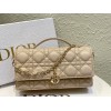 Bag-Dior-098 Size :  21 x 11 x 5cm