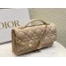 Bag-Dior-098 Size :  21 x 11 x 5cm