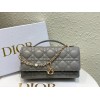 Bag-Dior-099 Size :  21 x 11 x 5cm