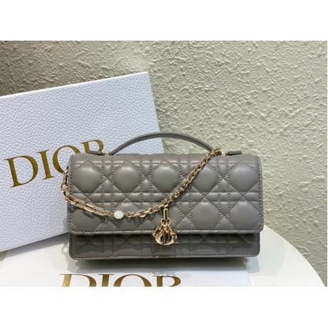 Bag-Dior-099 Size :  21 x 11 x 5cm