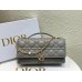 Bag-Dior-099 Size :  21 x 11 x 5cm