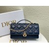 Bag-Dior-100 Size :  21 x 11 x 5cm