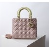 Bag-Dior-147 Size :  24 x 20 x 11cm