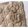 Bag-Dior-150 Size :  24 x 20 x 11cm