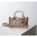 Bag-Dior-168 Size :  22.5 x 12 x 4cm