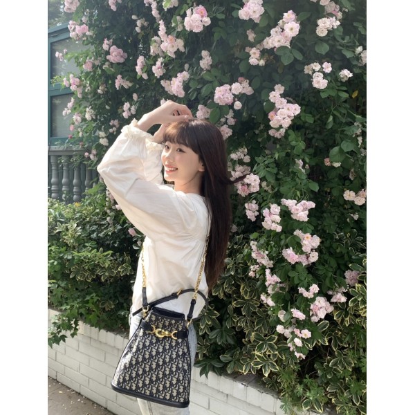 Bag-Dior-176 Size :  24 x 10 x 24.5cm