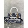 Bag-Dior-180 Size :  24x 20x 11 cm