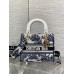 Bag-Dior-180 Size :  24x 20x 11 cm