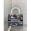 Bag-Dior-180 Size :  24x 20x 11 cm