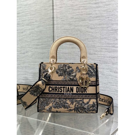 Bag-Dior-183 Size :  24x 20x 11 cm