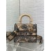 Bag-Dior-183 Size :  24x 20x 11 cm