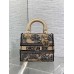 Bag-Dior-183 サイズ  :   24x 20x 11 cm