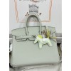 Birkin25  Gris NeveSilver Hardware
