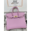 Birkin25cm X9/Mauve Sylvestre   swift   Gold Hardware