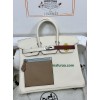 birkin 25cm I2/Silver Hardware