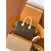 M46977 Bag-Lvbag-163 Size : 25x19x15cm