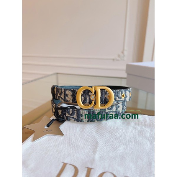 Belt-Dior-005