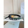 Belt-Dior-010