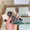 Belt-Dior-011