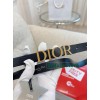 Belt-Dior-017