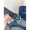 Belt-Dior-021