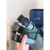 Belt-Dior-022