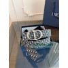 Belt-Dior-026
