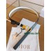 Belt-Dior-034