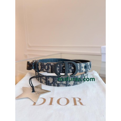 Belt-Dior-038