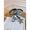 Belt-Dior-038
