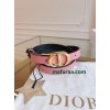Belt-Dior-039