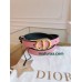 Belt-Dior-039