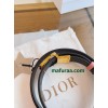 Belt-Dior-039