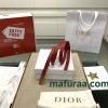 Belt-Dior-043