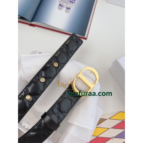 Belt-Dior-052