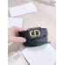 Belt-Dior-070