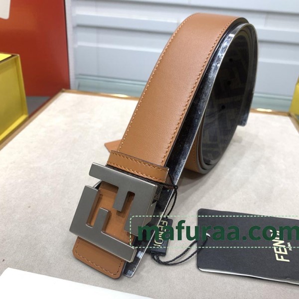 Belt-Fen-007