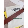 Belt-Fen-010