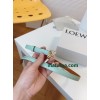 Belt-Loewe-003