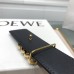 Belt-Loewe-019