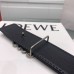 Belt-Loewe-020