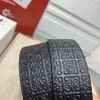 Belt-Loewe-022