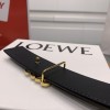 Belt-Loewe-023