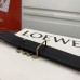 Belt-Loewe-027