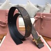 Belt-Lv-190
