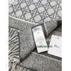 Scarf-Dior-005