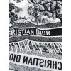 Scarf-Dior-013